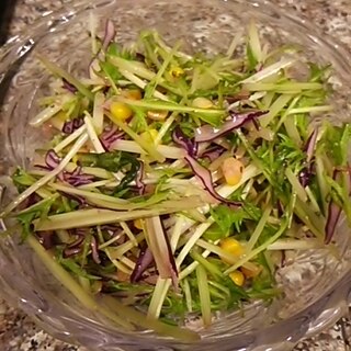 紫キャベツと水菜の黒酢玉ねぎサラダ